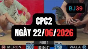 Video đá gà CPC2 Thomo hôm nay 22-06-2026
