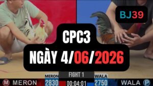 Video đá gà CPC3 Thomo hôm nay 4-06-2026