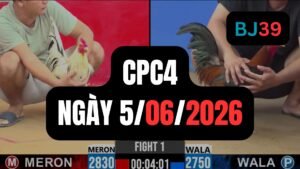 Video đá gà CPC4 Thomo hôm nay 5-06-2026