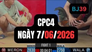 Video đá gà CPC4 Thomo hôm nay 7-06-2026