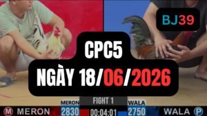Video đá gà CPC5 Thomo hôm nay 18-06-2026
