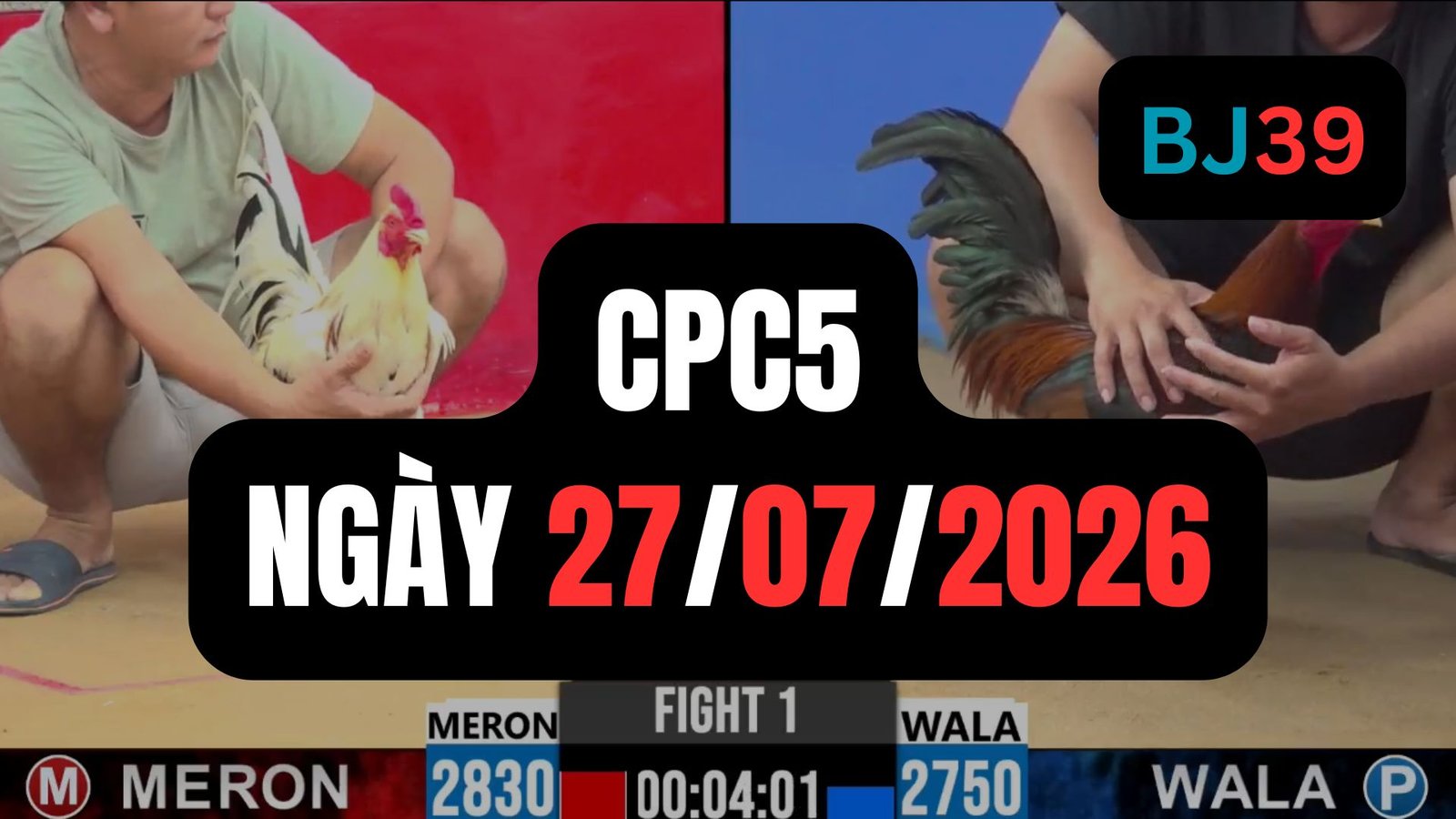 Video đá gà CPC5 Thomo hôm nay 27-07-2026