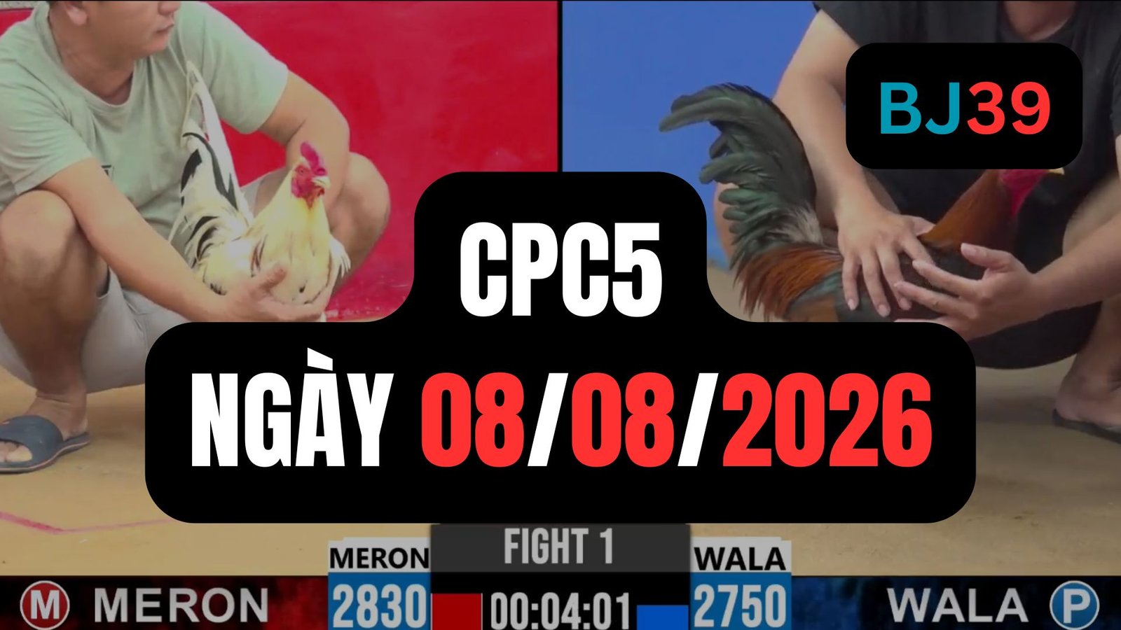 Video đá gà CPC5 Thomo hôm nay 08-08-2026