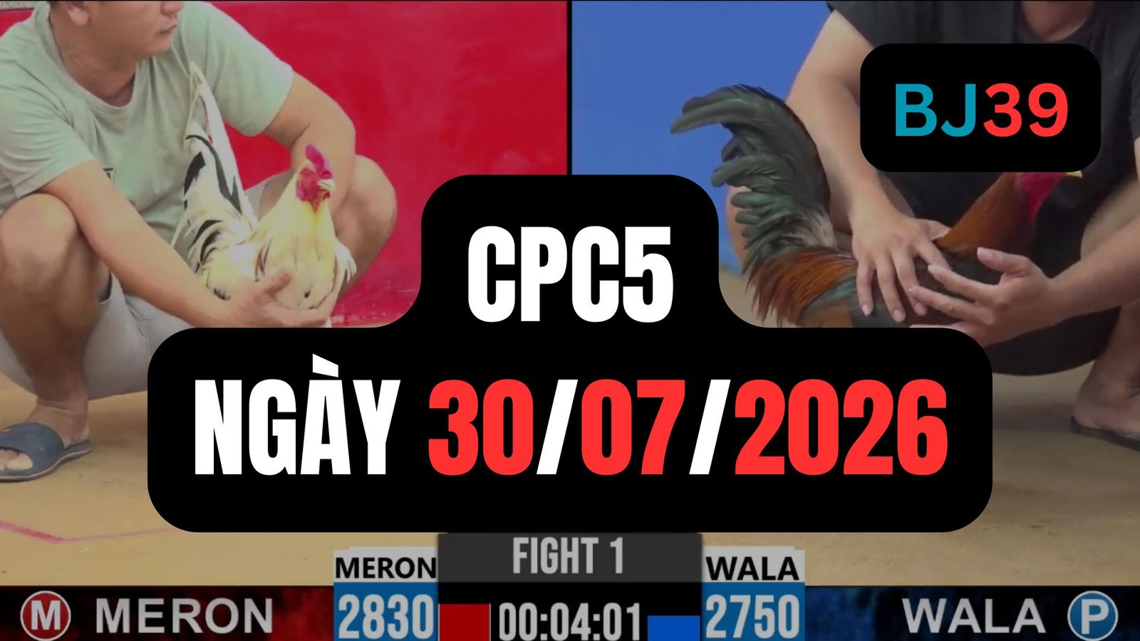 Video đá gà CPC5 Thomo hôm nay 30-07-2026